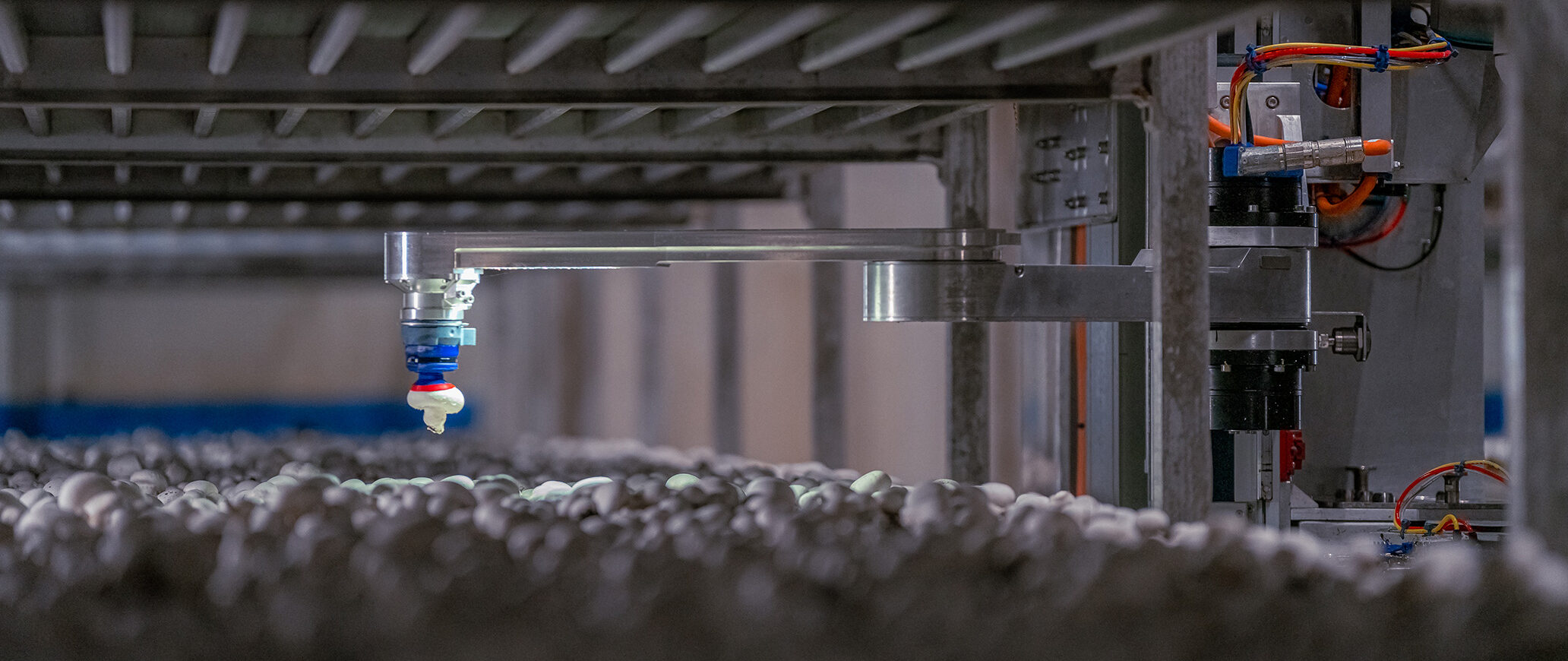 4AG Robotic's Forager HX400 mushroom picking robot