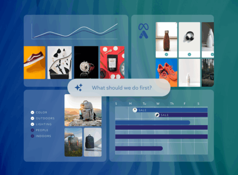 ShopVision's e-commerce intelligence platform